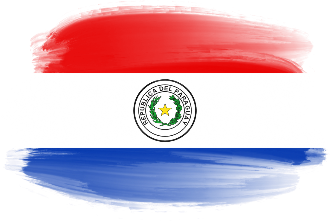 Paraguay Brush Flag